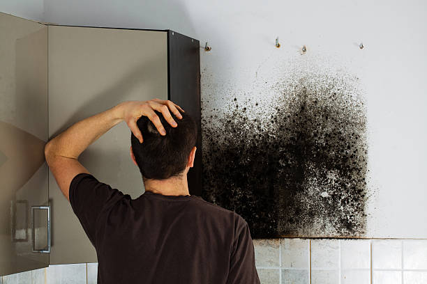 Certified Mold Removal in Doffing, TX